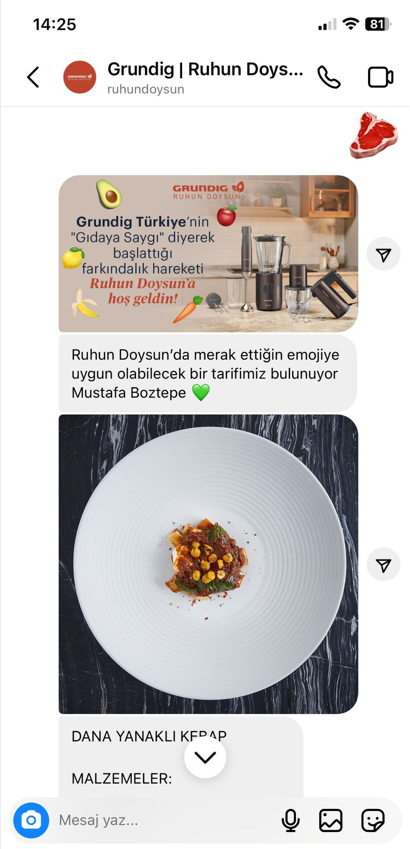 IAB TR | Grundig Ruhun Doysun Chatbot Projesi